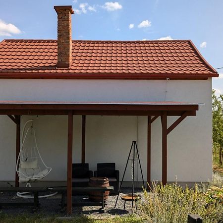 Jera Pince Es Vendeghaz Villa Somlovasarhely Exterior photo